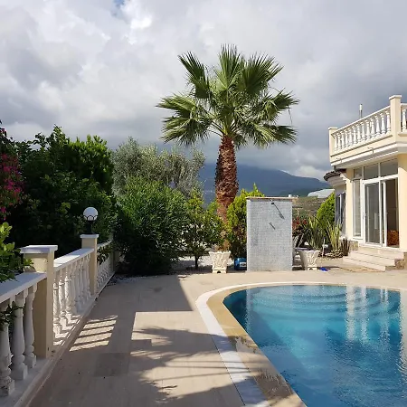 Villa Gold Bau 2